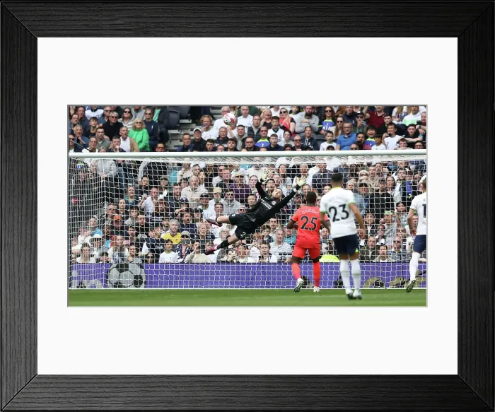 Framed Print : Premier League Battle: Tottenham vs. Brighton (08APR23) Framed Print : Premier League Battle: Tottenham vs. Brighton (08APR23)