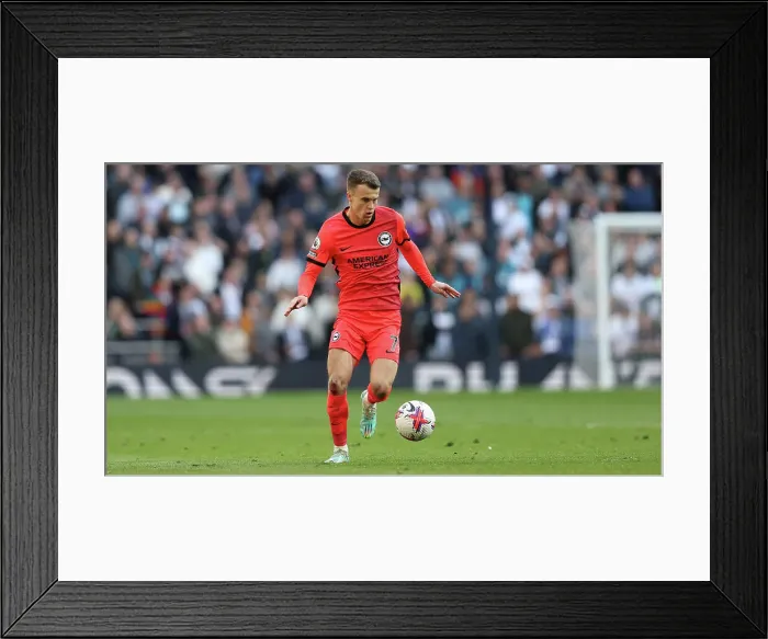 Framed Print : Premier League Battle: Tottenham vs. Brighton (08APR23) Framed Print : Premier League Battle: Tottenham vs. Brighton (08APR23)