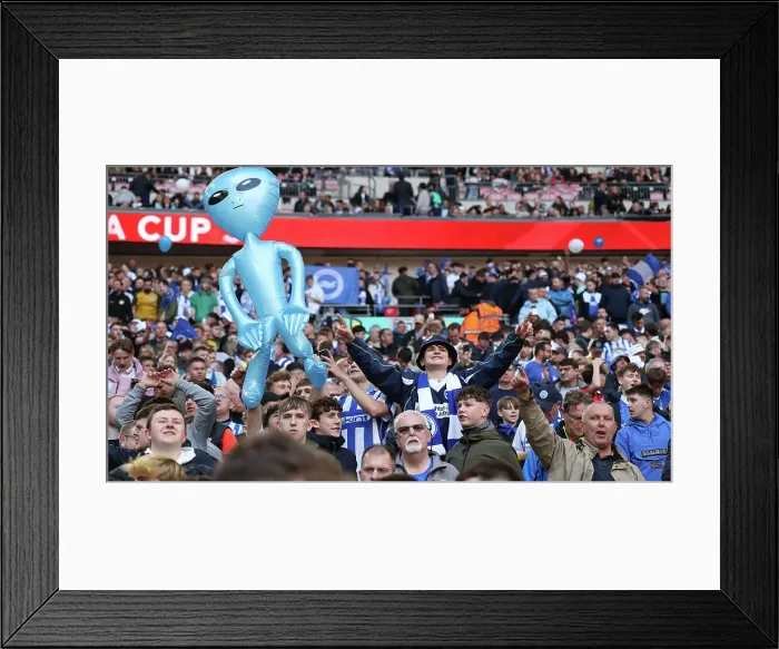 Framed Print : Sea of Albion: FA Cup Semi-Final Showdown at Wembley (23APR23) vs Manchester United Framed Print : Sea of Albion: FA Cup Semi-Final Showdown at Wembley (23APR23) vs Manchester United