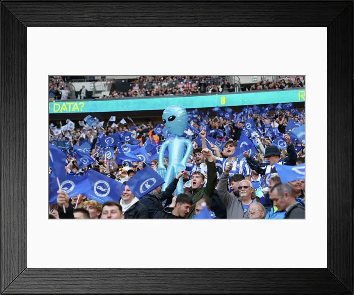 Framed Print : Sea of Albion: Brighton and Hove FA Cup Semi-Final vs Manchester United at Wembley Stadium (23APR23) Framed Print : Sea of Albion: Brighton and Hove FA Cup Semi-Final vs Manchester United at Wembley Stadium (23APR23)