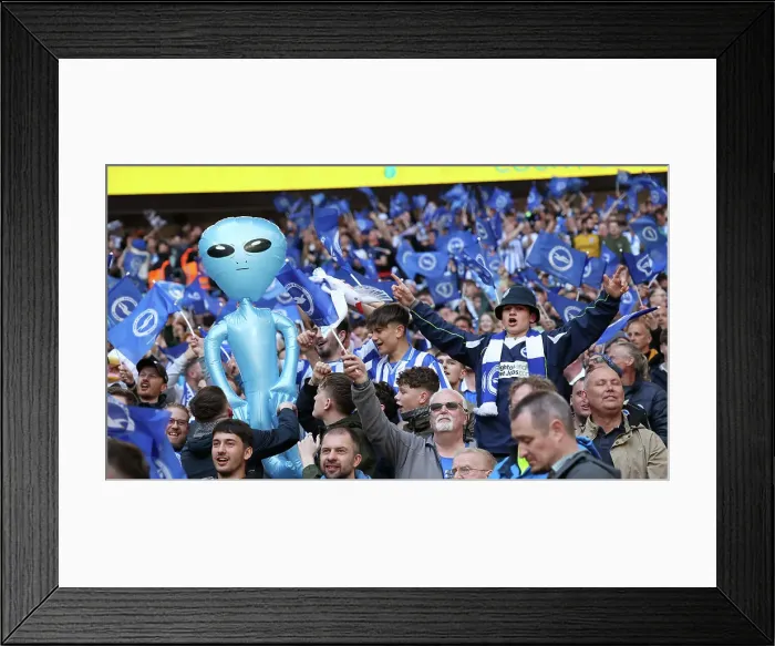 Framed Print : Sea of Seagulls: Brighton and Hove Albion Fans at the FA Cup Semi-Final vs Manchester United (23APR23) Framed Print : Sea of Seagulls: Brighton and Hove Albion Fans at the FA Cup Semi-Final vs Manchester United (23APR23)