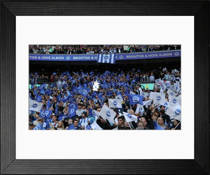 Framed Print : Sea of Seagulls: Brighton and Hove Albion Fans at Wembley FA Cup Semi-Final vs Manchester United (23APR23) Framed Print : Sea of Seagulls: Brighton and Hove Albion Fans at Wembley FA Cup Semi-Final vs Manchester United (23APR23)