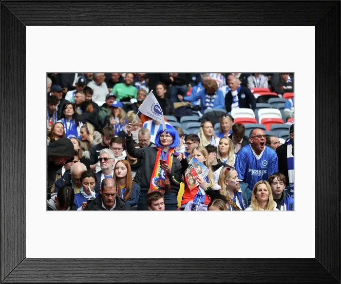 Framed Print : Seagulls Sea of Supporters: FA Cup Semi-Final at Wembley (23APR23) - Brighton & Hove Albion vs Manchester United Framed Print : Seagulls Sea of Supporters: FA Cup Semi-Final at Wembley (23APR23) - Brighton & Hove Albion vs Manchester United