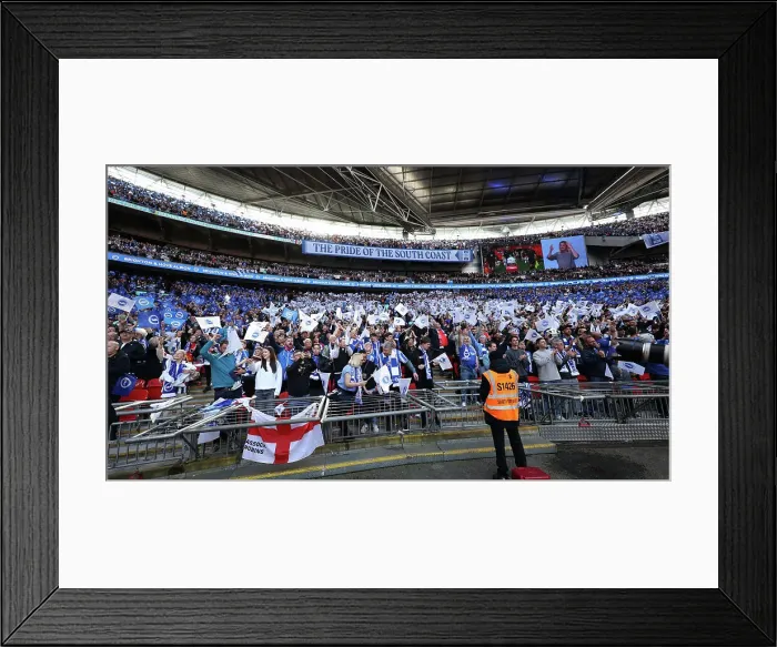 Framed Print : Brighton and Hove Albion FA Cup Semi-Final vs Manchester United: Passionate Fan Moments at Wembley Stadium (23APR23) Framed Print : Brighton and Hove Albion FA Cup Semi-Final vs Manchester United: Passionate Fan Moments at Wembley Stadium (23APR23)