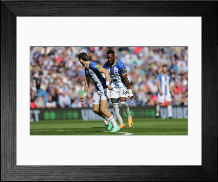 Framed Print : Premier League Showdown: Brighton & Hove Albion vs. Wolverhampton Wanderers (29APR23) Framed Print : Premier League Showdown: Brighton & Hove Albion vs. Wolverhampton Wanderers (29APR23)