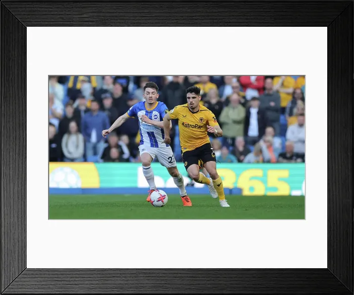 Framed Print : Brighton vs. Wolverhampton: A Premier League Clash at American Express Community Stadium (29APR23) Framed Print : Brighton vs. Wolverhampton: A Premier League Clash at American Express Community Stadium (29APR23)