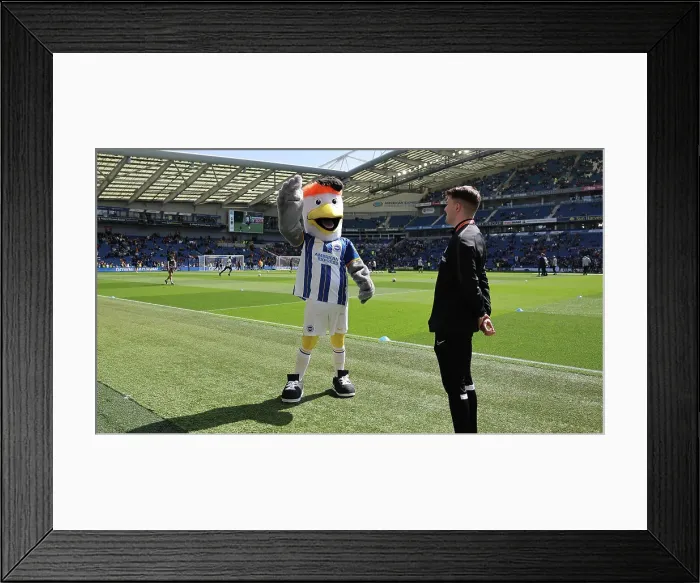 Framed Print : Intense Premier League Showdown: Brighton & Hove Albion vs. Wolverhampton Wanderers (29APR23) Framed Print : Intense Premier League Showdown: Brighton & Hove Albion vs. Wolverhampton Wanderers (29APR23)