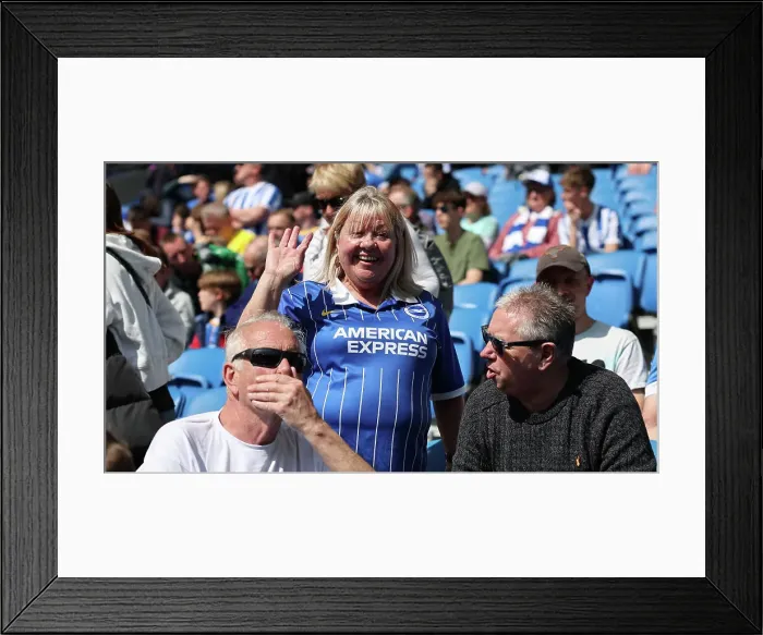 Framed Print : Brighton vs. Wolverhampton: Premier League Battle at American Express Community Stadium (29APR23)