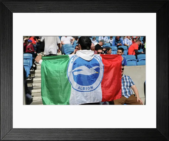 Framed Print : Brighton & Hove Albion vs. Wolverhampton Wanderers: A Premier League Battle at American Express Community Stadium (29APR23) Framed Print : Brighton & Hove Albion vs. Wolverhampton Wanderers: A Premier League Battle at American Express Community Stadium (29APR23)
