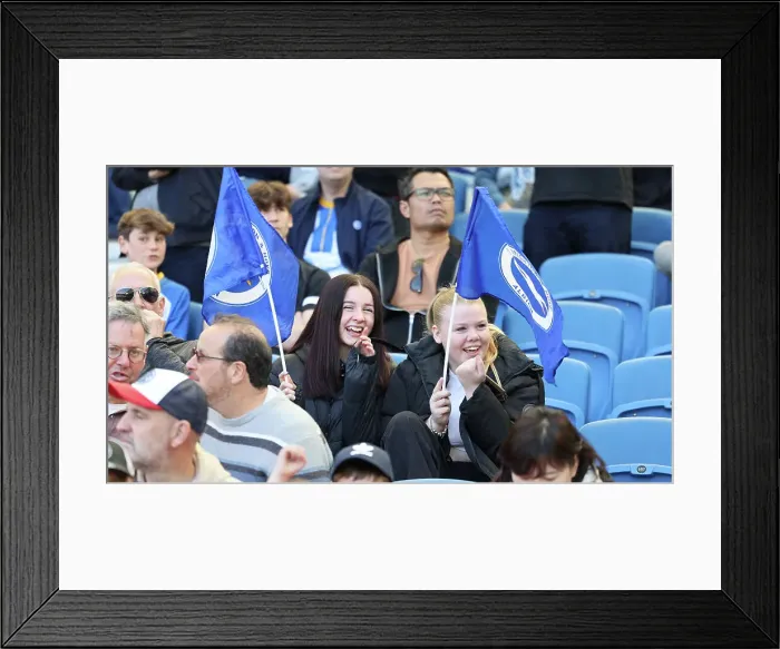 Framed Print : Brighton & Hove Albion vs. Wolverhampton Wanderers: A Premier League Battle at American Express Community Stadium (29APR23)