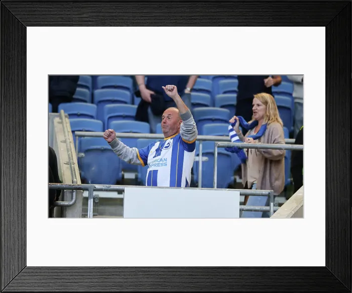 Framed Print : Brighton and Hove Albion vs. Wolverhampton Wanderers: Intense Premier League Clash at American Express Community Stadium (29APR23) Framed Print : Brighton and Hove Albion vs. Wolverhampton Wanderers: Intense Premier League Clash at American Express Community Stadium (29APR23)