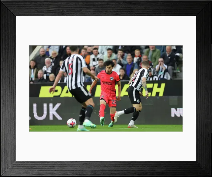 Framed Print : 18MAY23: Intense Rivalry - Newcastle United vs. Brighton and Hove Albion in Premier League Showdown Framed Print : 18MAY23: Intense Rivalry - Newcastle United vs. Brighton and Hove Albion in Premier League Showdown