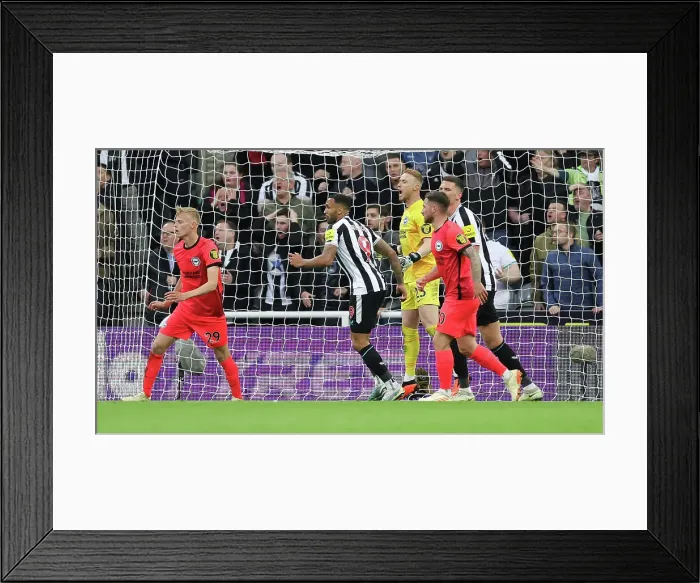 Framed Print : Premier League Showdown: Newcastle United vs. Brighton & Hove Albion (18MAY23) - Intense Match Action Framed Print : Premier League Showdown: Newcastle United vs. Brighton & Hove Albion (18MAY23) - Intense Match Action