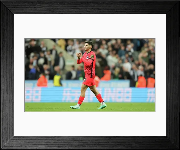 Framed Print : Premier League Showdown: Newcastle United vs. Brighton and Hove Albion (18MAY23) Framed Print : Premier League Showdown: Newcastle United vs. Brighton and Hove Albion (18MAY23)
