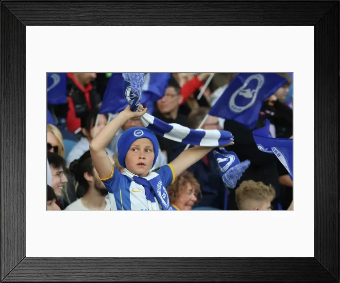 Framed Print : Brighton and Hove Albion vs Manchester City: 2022-23 Premier League Title Decider (May 24) Framed Print : Brighton and Hove Albion vs Manchester City: 2022-23 Premier League Title Decider (May 24)