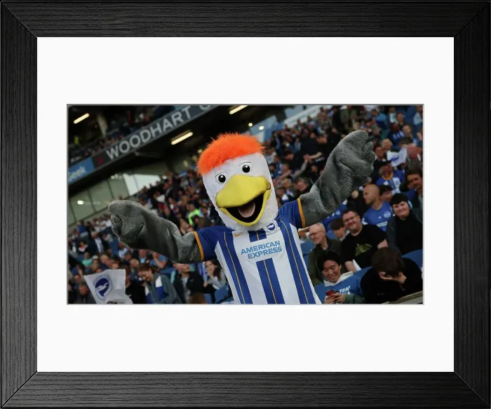 Framed Print : Intense Premier League Showdown: Brighton & Hove Albion vs Manchester City (24May23) Framed Print : Intense Premier League Showdown: Brighton & Hove Albion vs Manchester City (24May23)