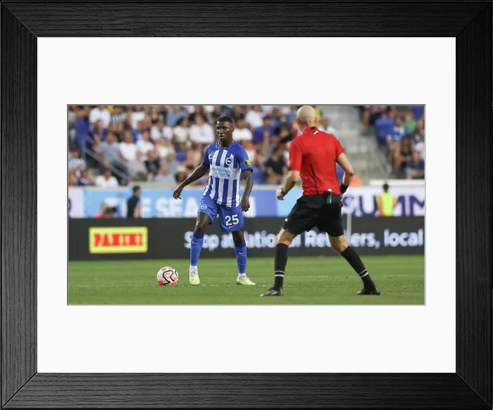 Framed Print : Brighton & Hove Albion vs. Newcastle United: Pre-Season Battle at Red Bull Arena (USA Tour 2023)