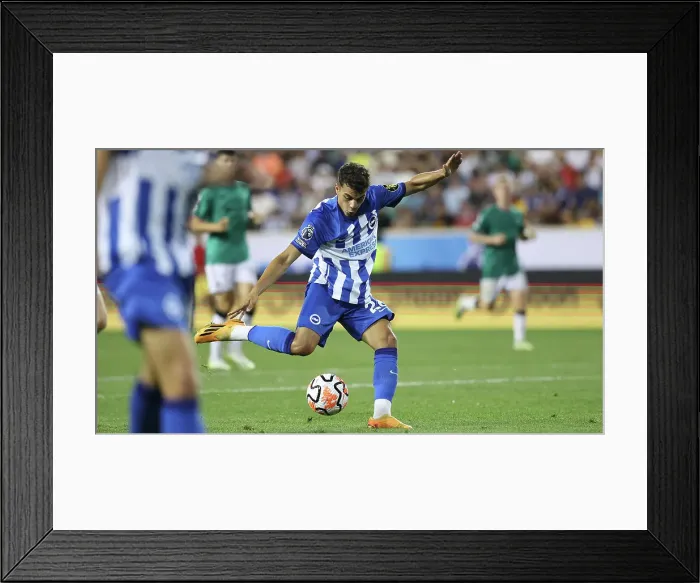 Framed Print : Brighton & Hove Albion vs. Newcastle United: Pre-Season Battle at Red Bull Arena (USA Tour 2023) Framed Print : Brighton & Hove Albion vs. Newcastle United: Pre-Season Battle at Red Bull Arena (USA Tour 2023)