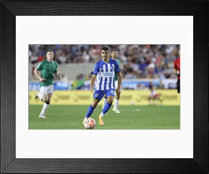 Framed Print : Brighton & Hove Albion vs. Newcastle United: Pre-Season Battle at Red Bull Arena (USA Tour 2023) Framed Print : Brighton & Hove Albion vs. Newcastle United: Pre-Season Battle at Red Bull Arena (USA Tour 2023)