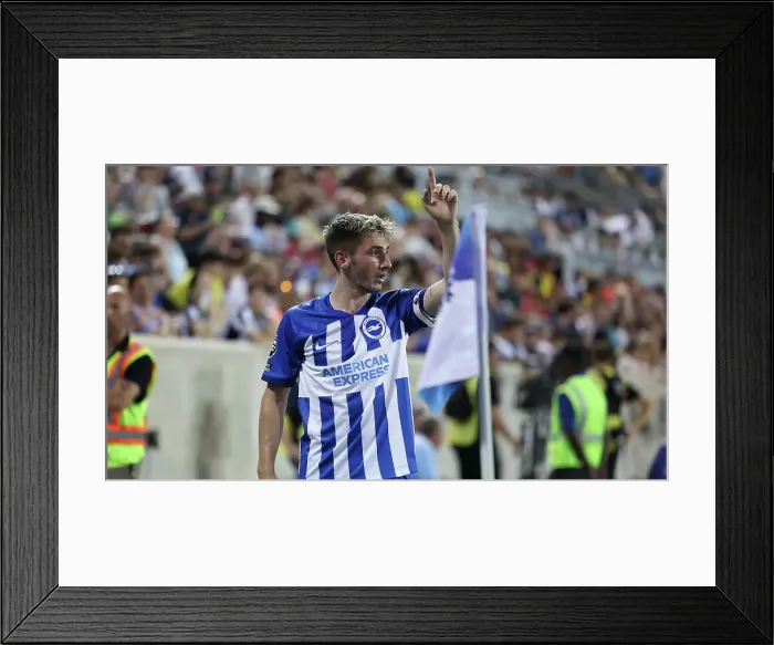 Framed Print : Brighton & Hove Albion vs. Newcastle United: 2023 USA Tour Pre-Season Clash at Red Bull Arena Framed Print : Brighton & Hove Albion vs. Newcastle United: 2023 USA Tour Pre-Season Clash at Red Bull Arena