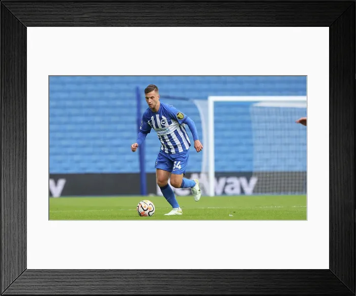 Framed Print : Brighton & Hove Albion vs. Rayo Vallecano: 2023 / 24 Pre-Season Friendly at American Express Community Stadium Framed Print : Brighton & Hove Albion vs. Rayo Vallecano: 2023 / 24 Pre-Season Friendly at American Express Community Stadium