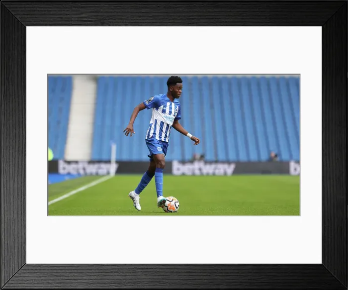Framed Print : Brighton & Hove Albion vs. Rayo Vallecano: 2023 / 24 Season Friendly - Thrilling Match Action at American Express Community Stadium (6th August 2023) Framed Print : Brighton & Hove Albion vs. Rayo Vallecano: 2023 / 24 Season Friendly - Thrilling Match Action at American Express Community Stadium (6th August 2023)