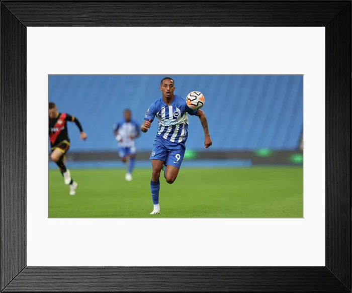 Framed Print : Brighton & Hove Albion vs. Rayo Vallecano: 2023 / 24 Pre-Season Friendly at American Express Community Stadium