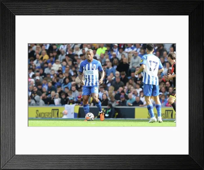 Framed Print : Brighton & Hove Albion vs. Rayo Vallecano: 2023 / 24 Season Friendly at American Express Community Stadium Framed Print : Brighton & Hove Albion vs. Rayo Vallecano: 2023 / 24 Season Friendly at American Express Community Stadium