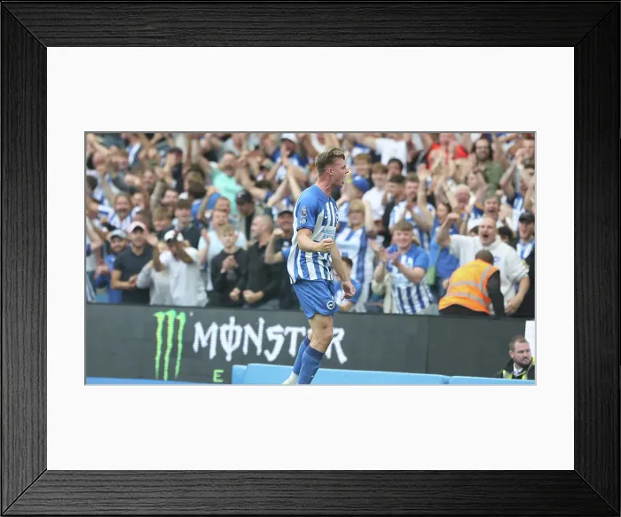 Framed Print : Brighton & Hove Albion vs. Luton Town: 2023 / 24 Premier League Clash at American Express Stadium Framed Print : Brighton & Hove Albion vs. Luton Town: 2023 / 24 Premier League Clash at American Express Stadium