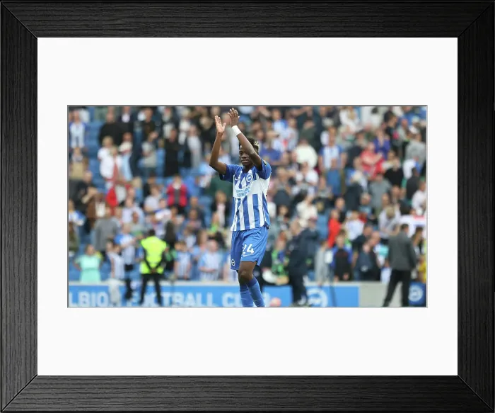 Framed Print : 2023 / 24 Premier League: Brighton and Hove Albion vs. Luton Town Showdown at American Express Stadium Framed Print : 2023 / 24 Premier League: Brighton and Hove Albion vs. Luton Town Showdown at American Express Stadium