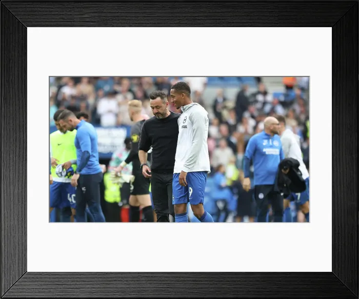 Framed Print : Brighton and Hove Albion vs. Luton Town: Premier League Clash at American Express Stadium (12Aug23) Framed Print : Brighton and Hove Albion vs. Luton Town: Premier League Clash at American Express Stadium (12Aug23)