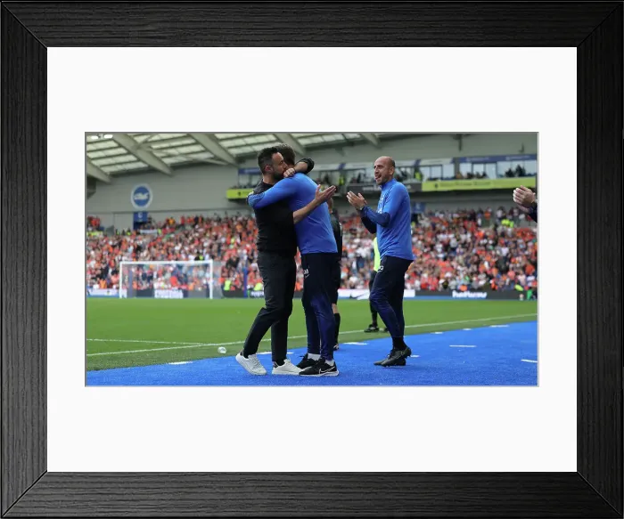 Framed Print : Brighton and Hove Albion vs. Luton Town: 2023 / 24 Premier League Clash at American Express Stadium Framed Print : Brighton and Hove Albion vs. Luton Town: 2023 / 24 Premier League Clash at American Express Stadium