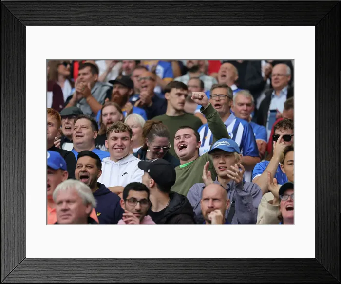 Framed Print : Brighton and Hove Albion vs. Luton Town: 2023 / 24 Premier League Clash at American Express Stadium