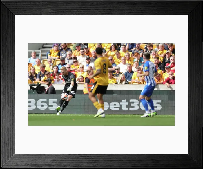 Framed Print : Wolverhampton Wanderers vs. Brighton & Hove Albion: Intense Premier League Clash at Molineux Stadium (19AUG23) Framed Print : Wolverhampton Wanderers vs. Brighton & Hove Albion: Intense Premier League Clash at Molineux Stadium (19AUG23)