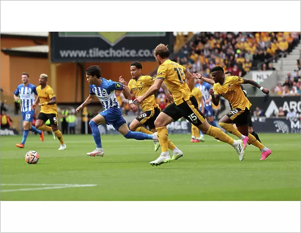 Clash in the Premier League: Wolverhampton Wanderers vs. Brighton and Hove Albion (19th August 2023)