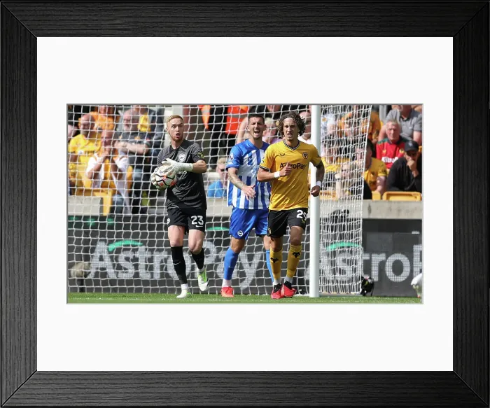 Framed Print : 2023 / 24 Premier League: Wolverhampton Wanderers vs. Brighton and Hove Albion Clash at Molineux Stadium (19th August) Framed Print : 2023 / 24 Premier League: Wolverhampton Wanderers vs. Brighton and Hove Albion Clash at Molineux Stadium (19th August)