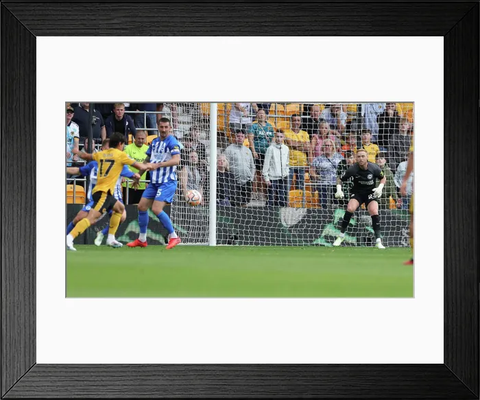 Framed Print : Premier League Clash: Wolverhampton Wanderers vs. Brighton and Hove Albion (19AUG23) Framed Print : Premier League Clash: Wolverhampton Wanderers vs. Brighton and Hove Albion (19AUG23)