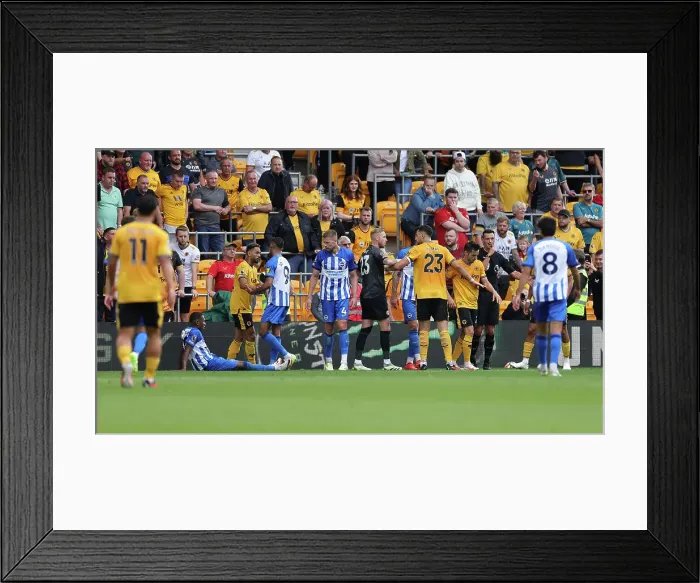 Framed Print : Premier League Battle: Wolverhampton Wanderers vs. Brighton and Hove Albion at Molineux Stadium (19AUG23) Framed Print : Premier League Battle: Wolverhampton Wanderers vs. Brighton and Hove Albion at Molineux Stadium (19AUG23)