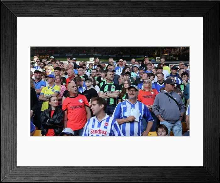 Framed Print : Premier League Showdown: Wolverhampton Wanderers vs. Brighton and Hove Albion (19AUG23)