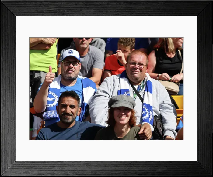Framed Print : Match action during the Premier League match between Wolverhampton Wanderers and Brighton Framed Print : Match action during the Premier League match between Wolverhampton Wanderers and Brighton
