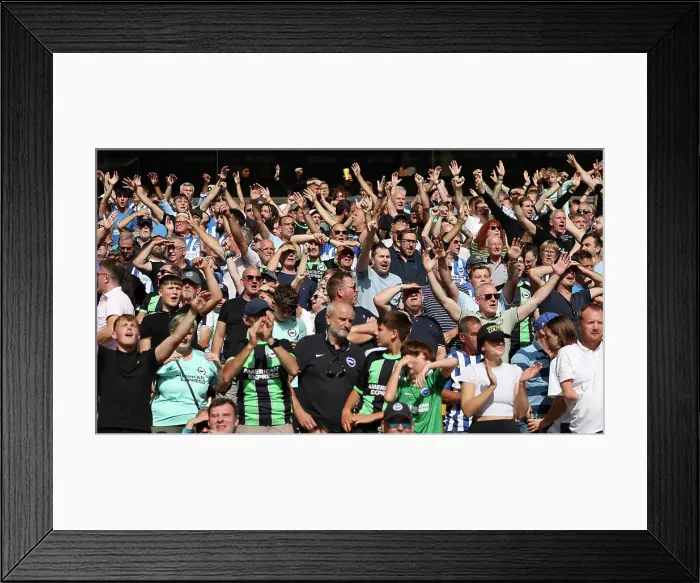 Framed Print : Match action during the Premier League match between Wolverhampton Wanderers and Brighton Framed Print : Match action during the Premier League match between Wolverhampton Wanderers and Brighton