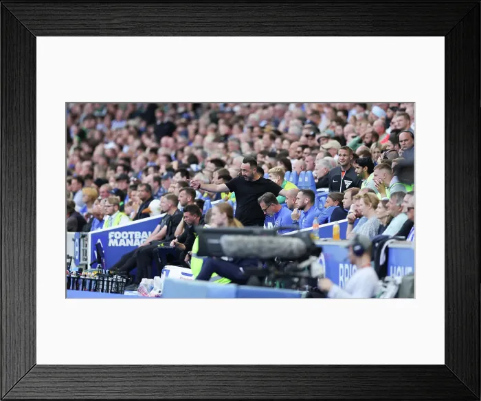 Framed Print : 2023 / 24 Premier League: Battle at American Express Stadium - Brighton & Hove Albion vs. Newcastle United (Newcastle United 02SEP23) Framed Print : 2023 / 24 Premier League: Battle at American Express Stadium - Brighton & Hove Albion vs. Newcastle United (Newcastle United 02SEP23)
