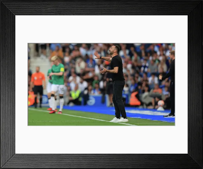 Framed Print : 2023 / 24 Premier League: Brighton and Hove Albion vs. Newcastle United - American Express Stadium Showdown Framed Print : 2023 / 24 Premier League: Brighton and Hove Albion vs. Newcastle United - American Express Stadium Showdown