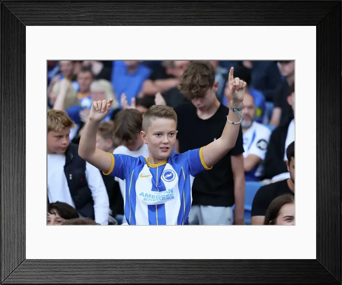 Framed Print : Premier League Showdown: Brighton and Hove Albion vs. Newcastle United (02SEP23) Framed Print : Premier League Showdown: Brighton and Hove Albion vs. Newcastle United (02SEP23)
