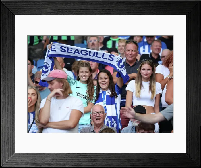 Framed Print : Brighton and Hove Albion vs. Newcastle United: 2023 / 24 Premier League Clash at American Express Stadium Framed Print : Brighton and Hove Albion vs. Newcastle United: 2023 / 24 Premier League Clash at American Express Stadium