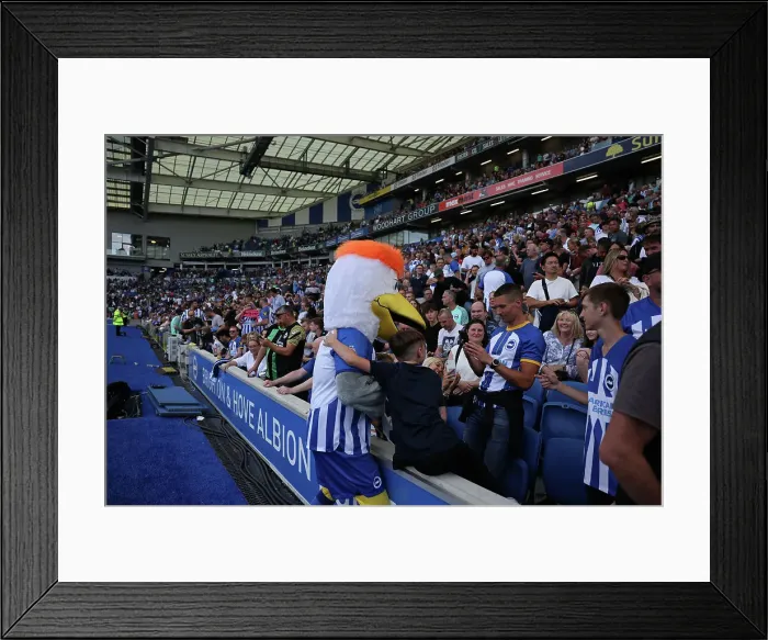 Framed Print : Intense Premier League Showdown: Brighton & Hove Albion vs. Newcastle United (02SEP23) Framed Print : Intense Premier League Showdown: Brighton & Hove Albion vs. Newcastle United (02SEP23)