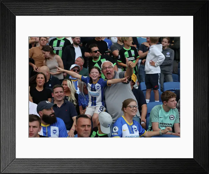 Framed Print : Brighton and Hove Albion vs. Newcastle United: 2023 / 24 Premier League Clash at American Express Stadium Framed Print : Brighton and Hove Albion vs. Newcastle United: 2023 / 24 Premier League Clash at American Express Stadium
