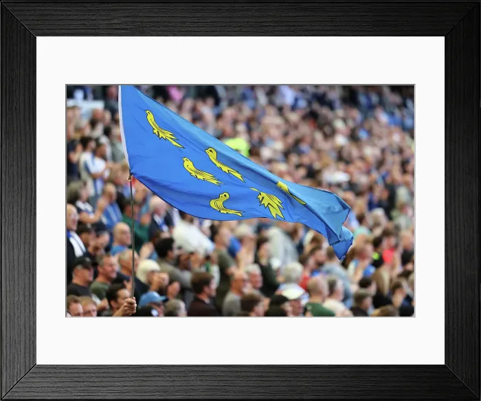 Framed Print : Premier League Showdown: Brighton vs Bournemouth (24SEP23) - Battle at American Express Stadium Framed Print : Premier League Showdown: Brighton vs Bournemouth (24SEP23) - Battle at American Express Stadium