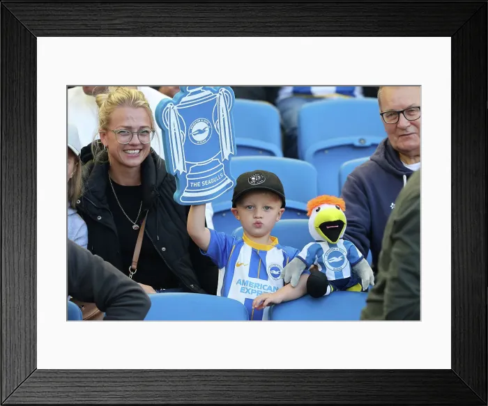 Framed Print : Premier League Showdown: Brighton & Hove Albion vs AFC Bournemouth (September 24, 2023) Framed Print : Premier League Showdown: Brighton & Hove Albion vs AFC Bournemouth (September 24, 2023)