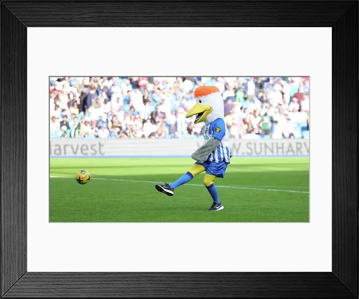 Framed Print : Intense Premier League Showdown: Brighton & Hove Albion vs. Liverpool (08.10.23) Framed Print : Intense Premier League Showdown: Brighton & Hove Albion vs. Liverpool (08.10.23)